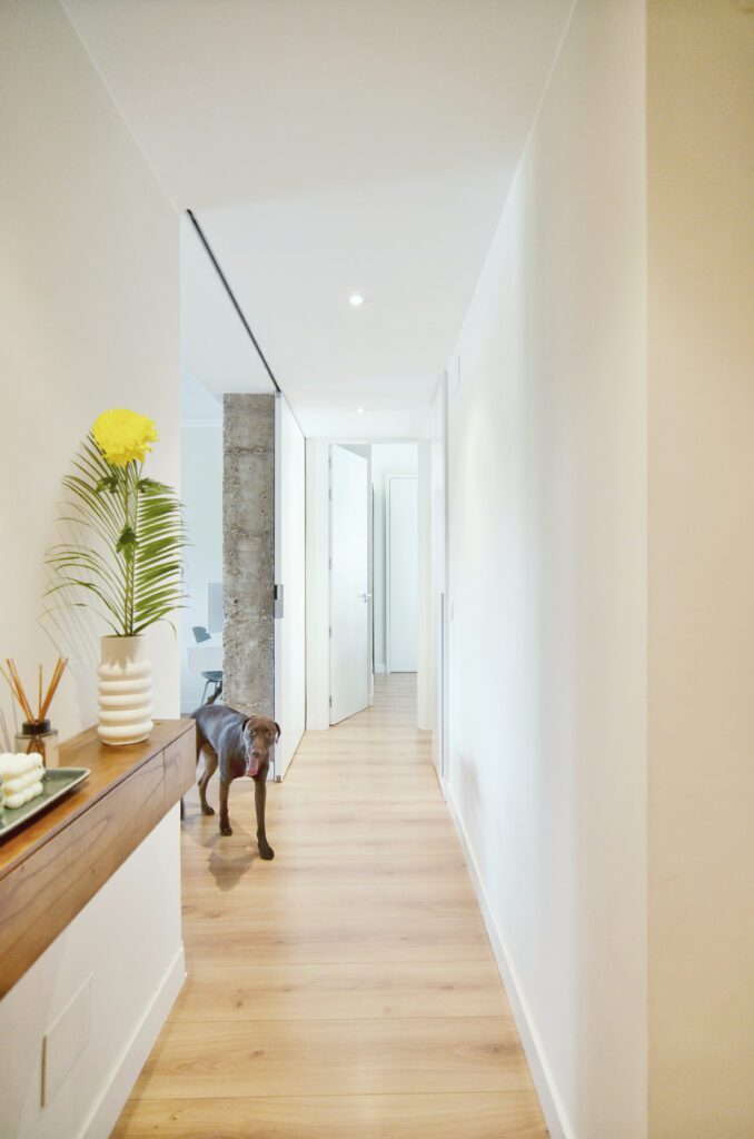 proyecto-casa-ig-detalle-pasillo-perro-arigato-estudio